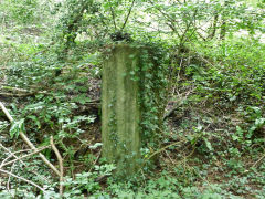 Aerial ropeway, Celynen South Colliery, Abercarn, July 2012